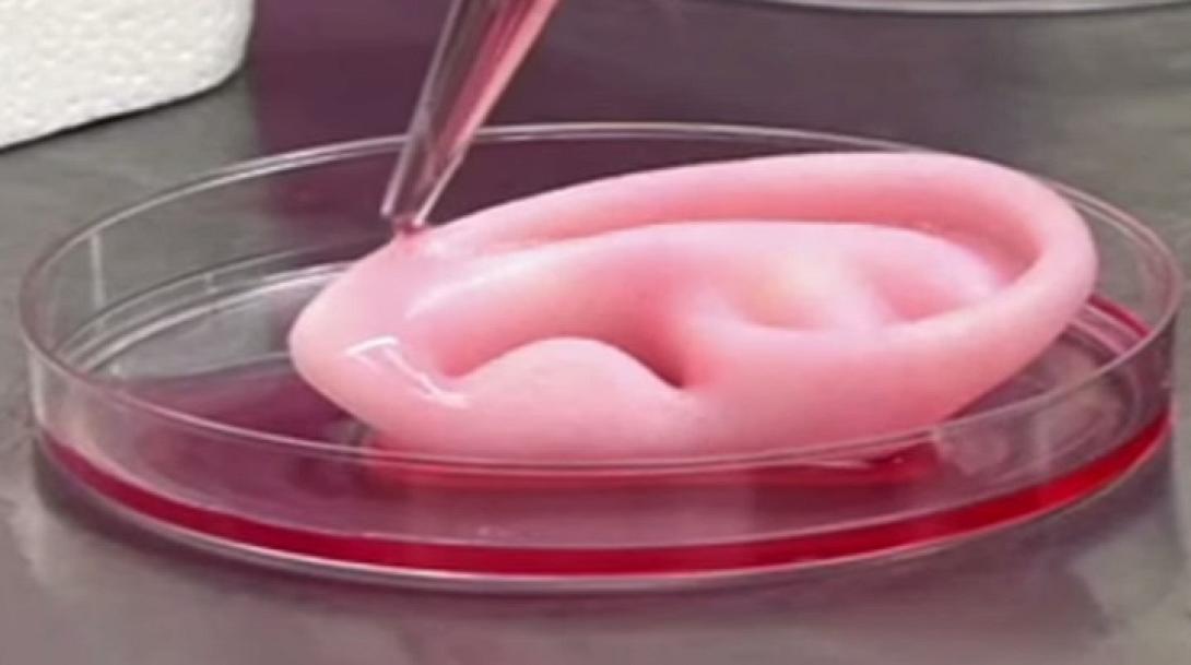 3d-bioprinting