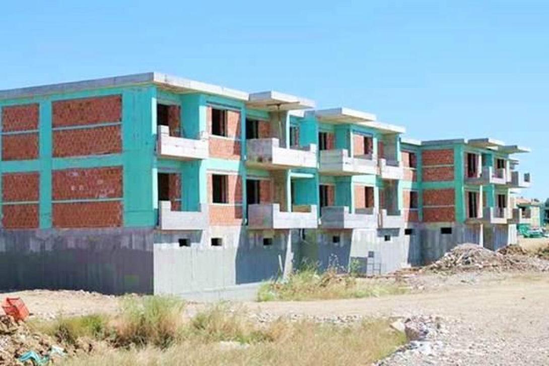 49455.jpg
