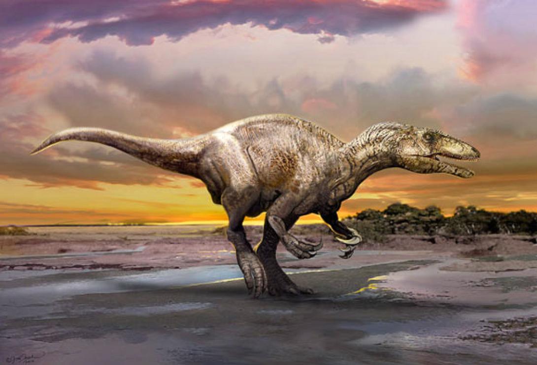 Murusraptor barrosaensis.jpg