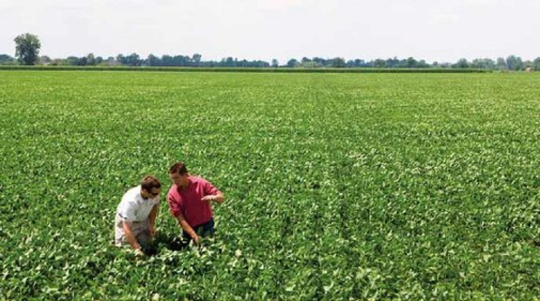 505x_sustainable-agriculture-01.jpg