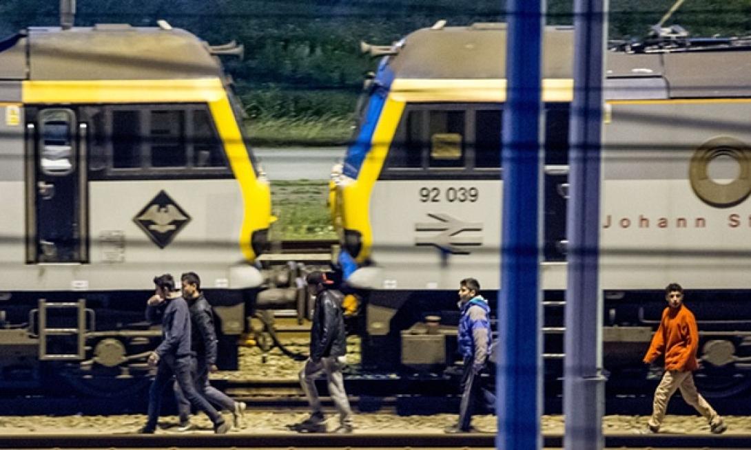 5271.jpg