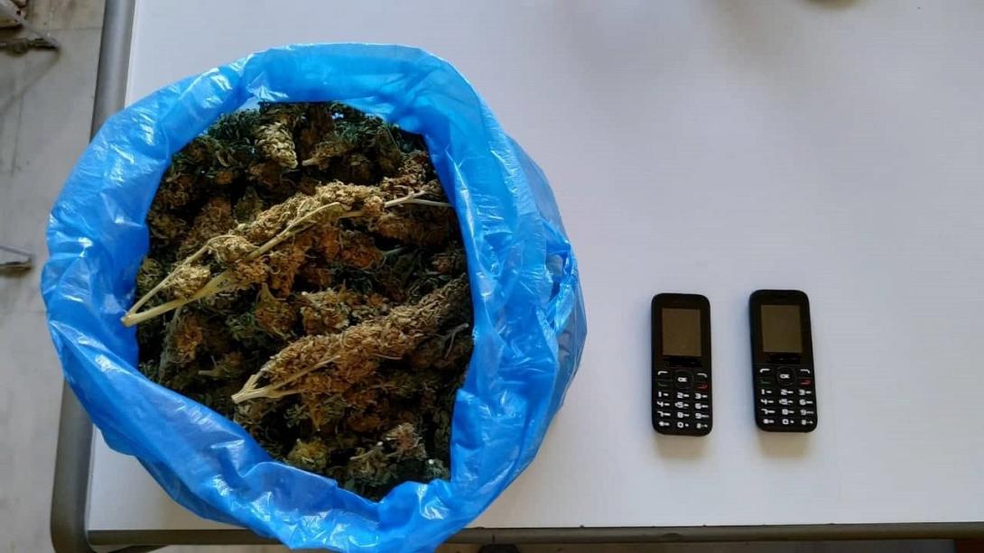 κάνναβη χανιά