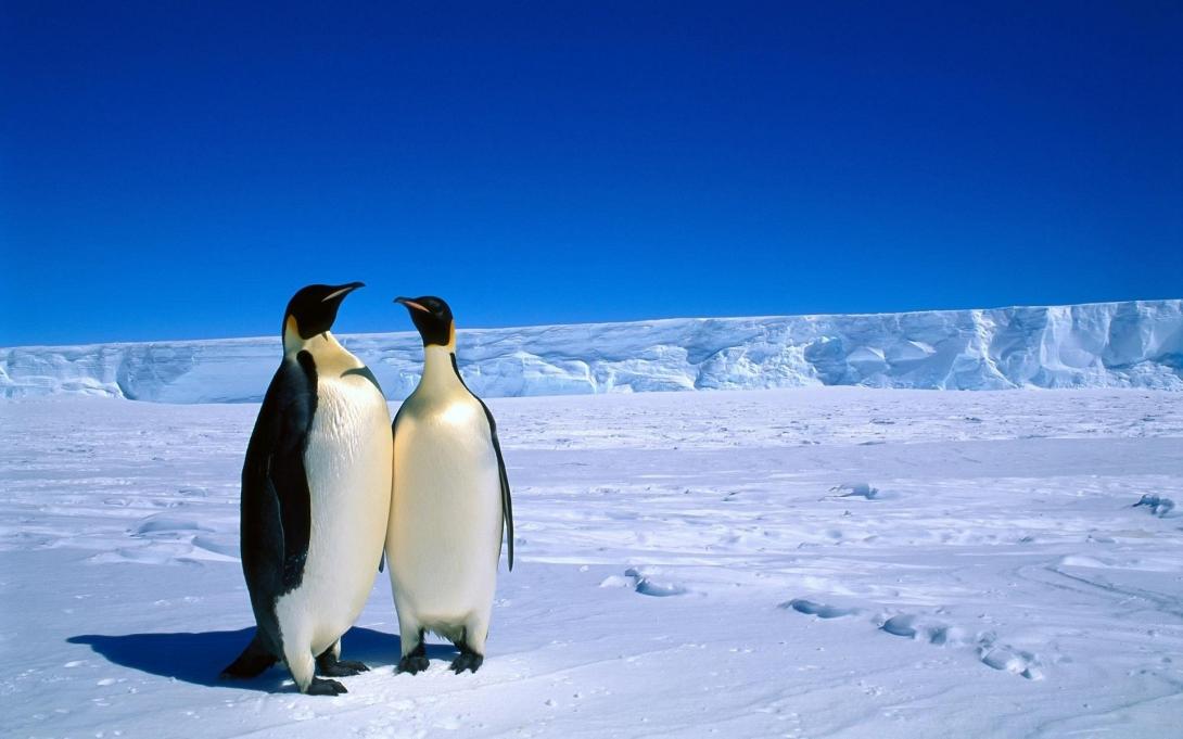 -antarctica-