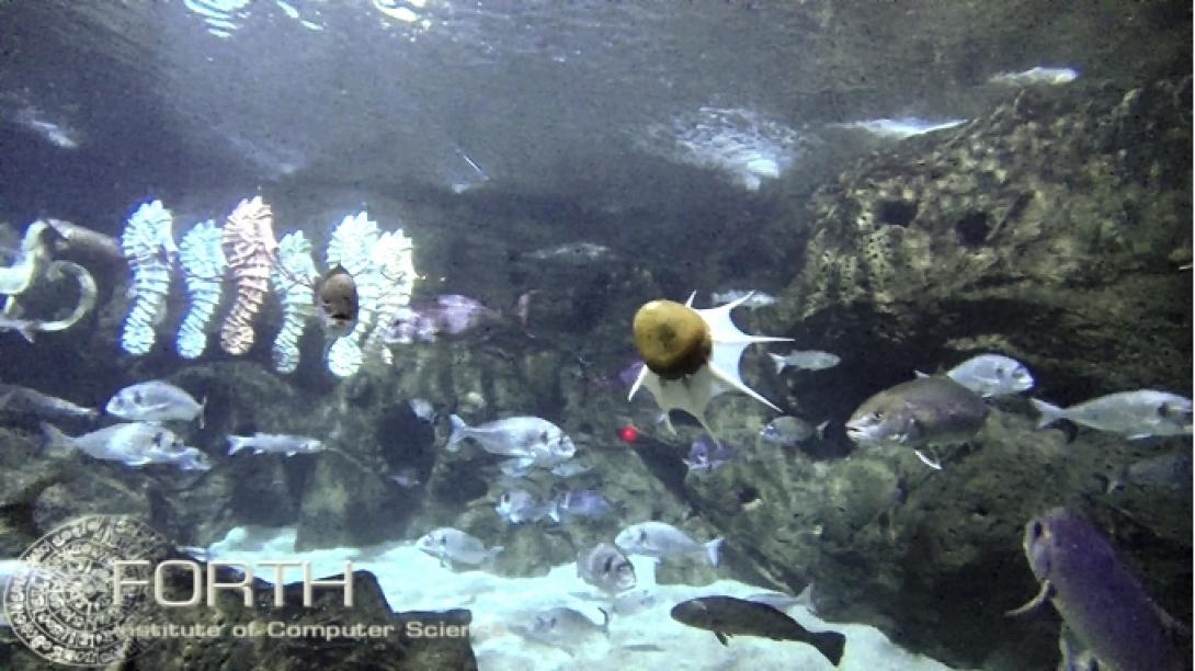 Το ρομποτικό χταπόδι του ΙΤΕ κόβει βόλτες στο Ενυδρείο Κρήτης!
