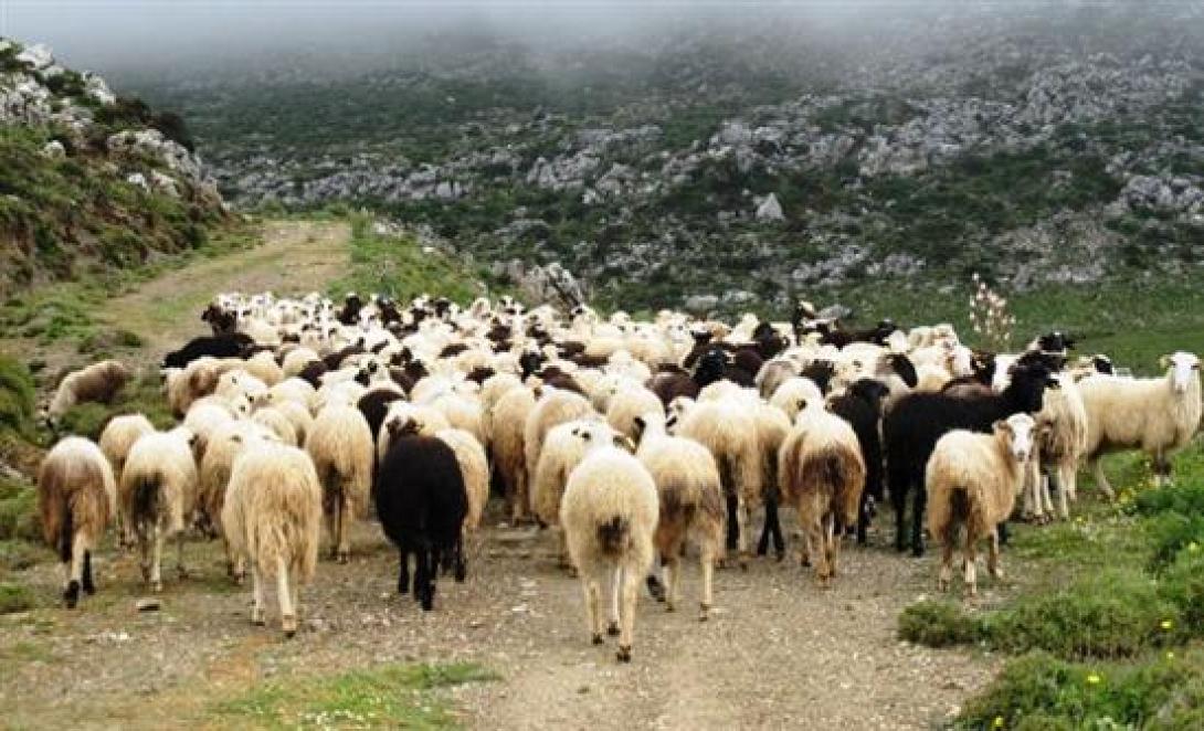 Ξεκίνησε η καταβολή της εξισωτικής αποζημίωσης του 2014