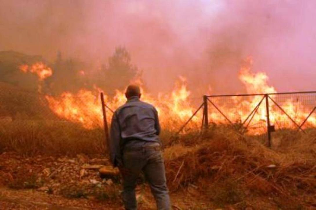 Υπό μερικό έλεγχο η φωτιά στα Μουλιανά Σητείας