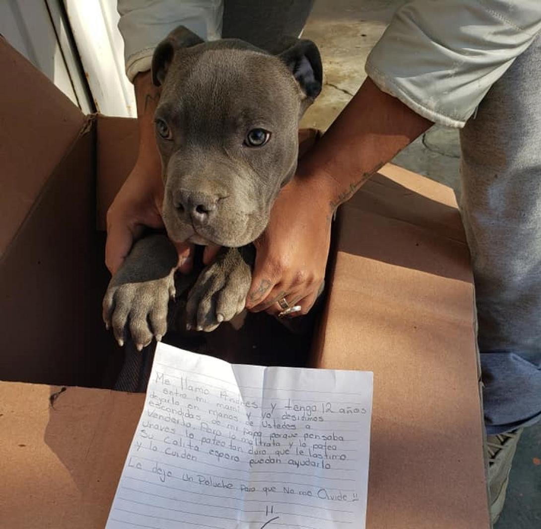  σημείωμα 12χρονου