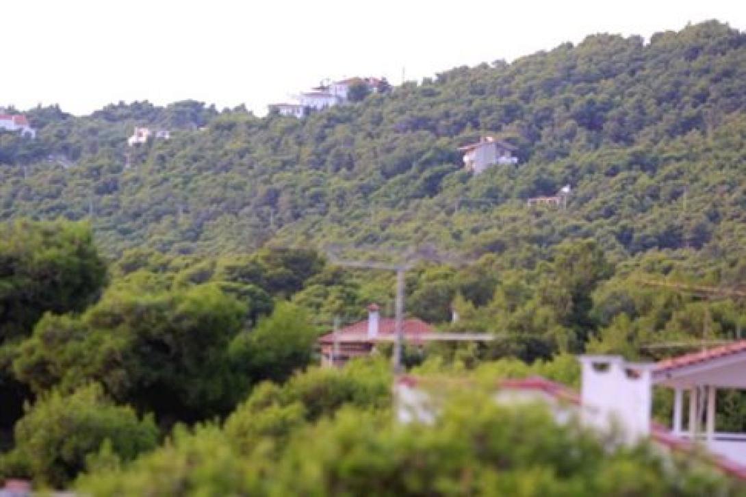Το Δήμοσιο ξεπουλά τα καταπατημένα από ιδιώτες