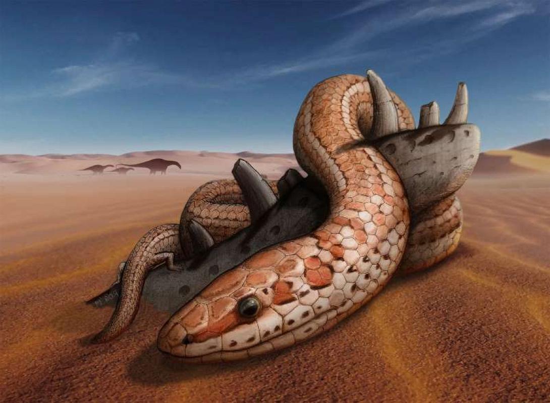 a-stuffed-animal-on-a-beach-life-restoration-of-najash-rionegrina-through-the-dunes-of-the-landscape_572300_.jpg