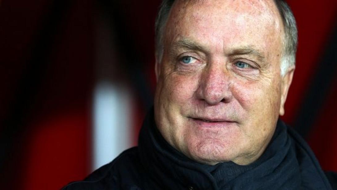 advocaat.jpg