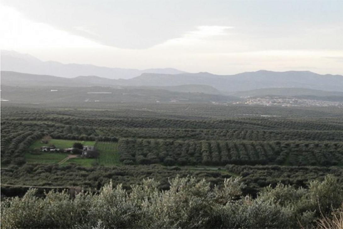 καστέλι πεδιάδας