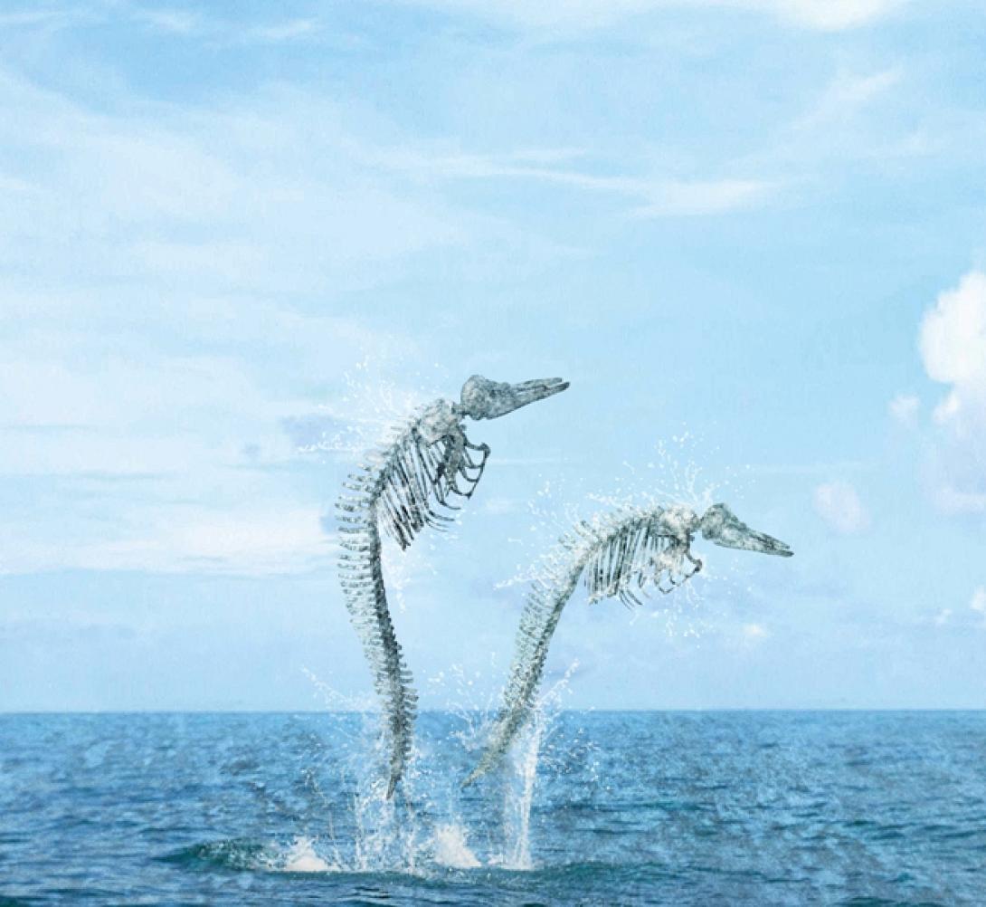 Συλλαλητήριο κατά των χημικών στα Χανιά