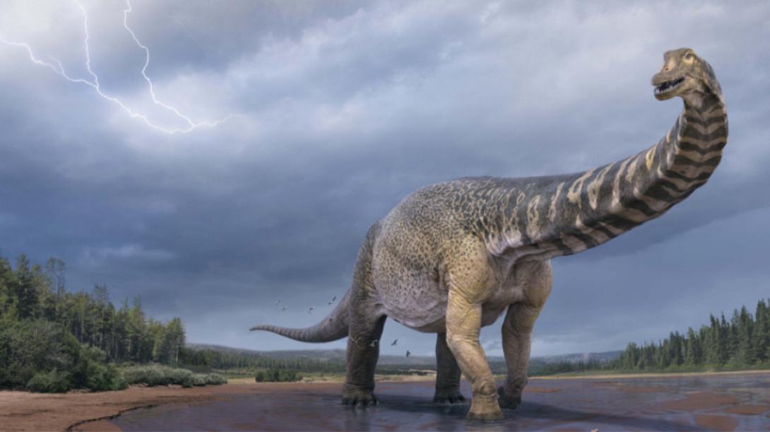 ΑΥΣΤΡΑΛΟΤΙΤΑΝ