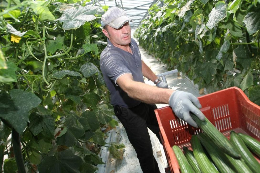 Αγρότες από την Ιεράπετρα ζητούν από τον Γ. Δεικτάκη &quot;πλοίο ασφαλείας&quot;