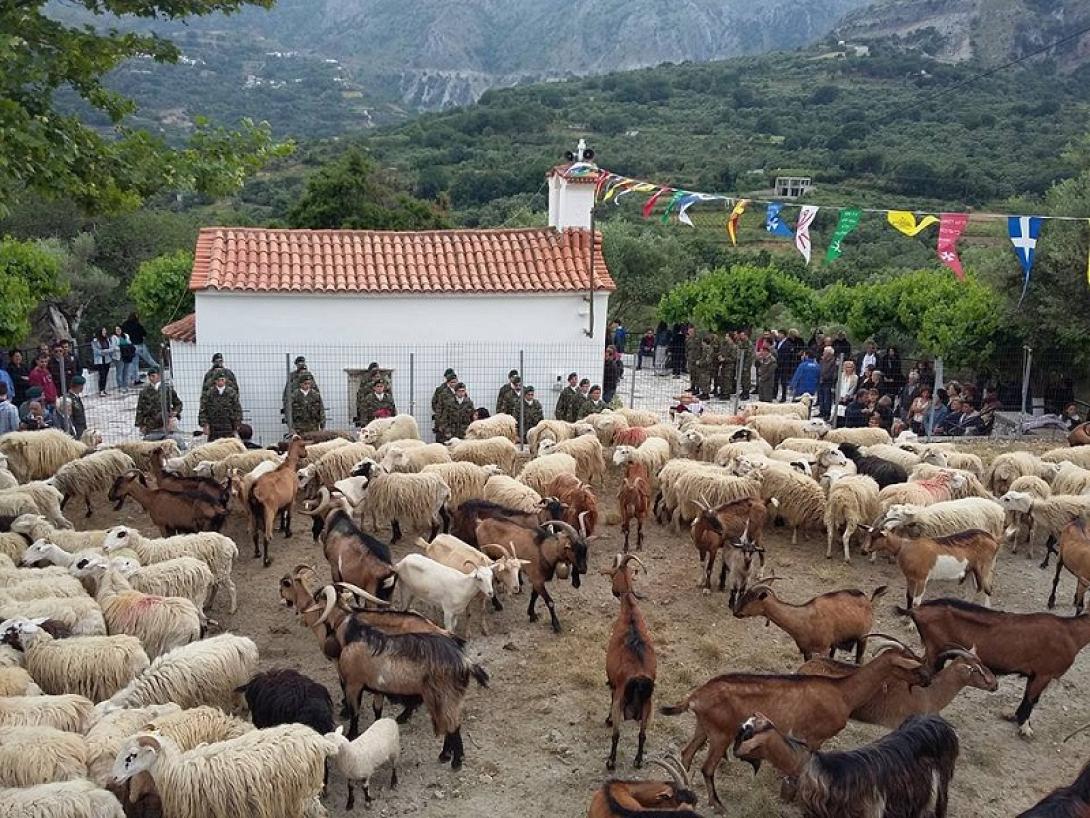 Το παλιό έθιμο με τα πρόβατα στην Ασή Γωνιά