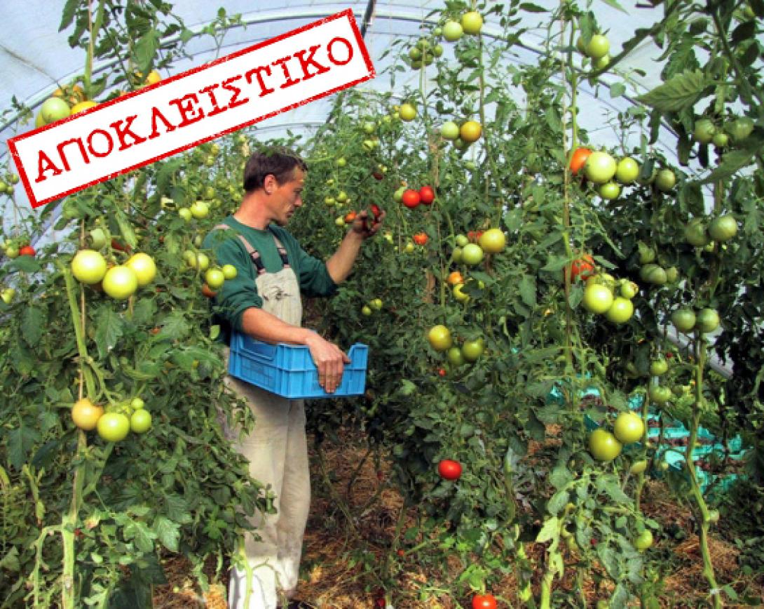 αποκλειστικο αγροτες!