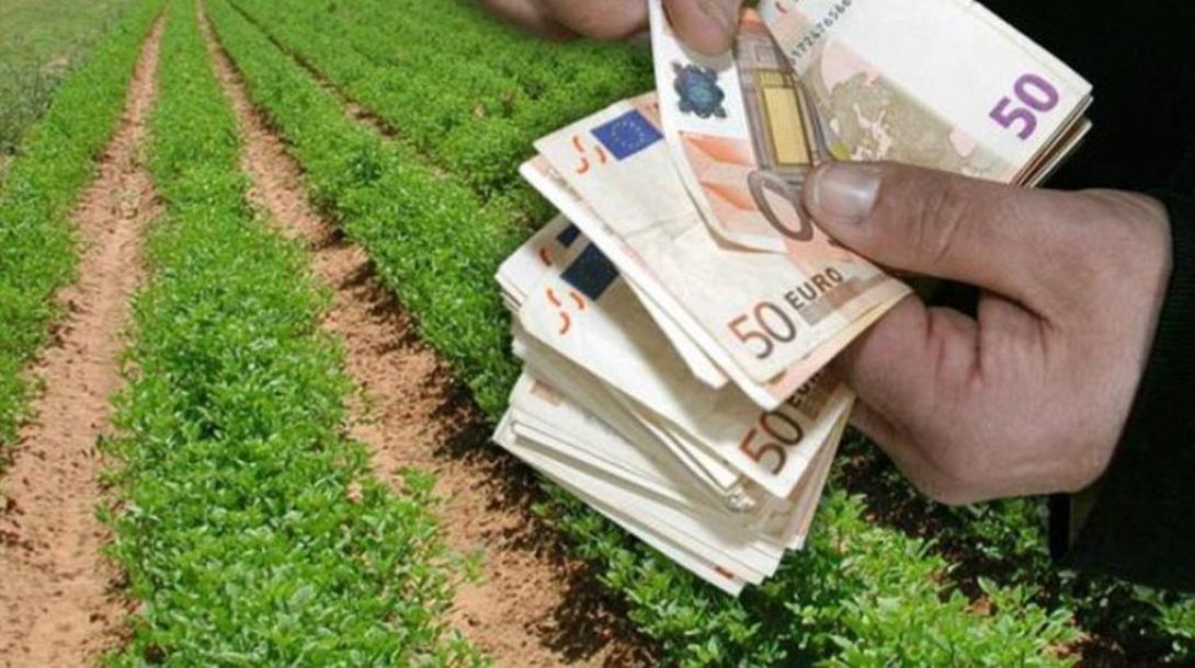 agro247_opekepe.jpg