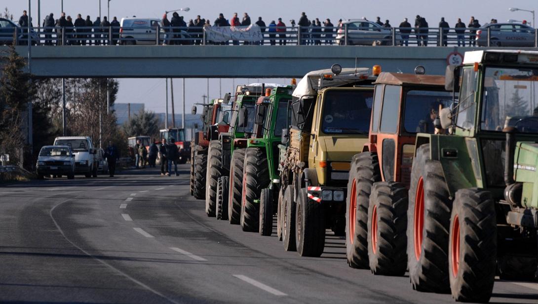 agrotes-2.jpg