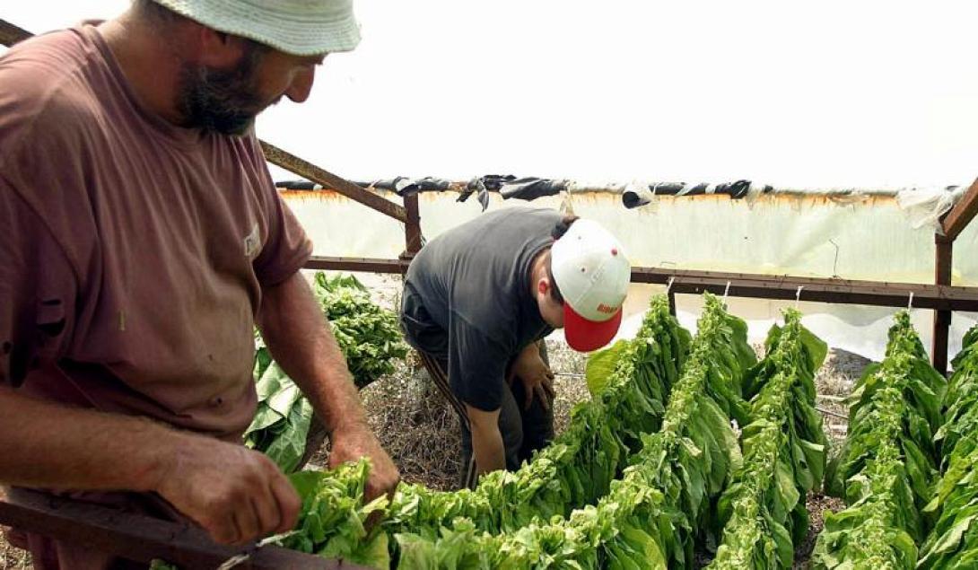 Ενισχύσεις για αγρότες ενόψει της νέας ΚΑΠ