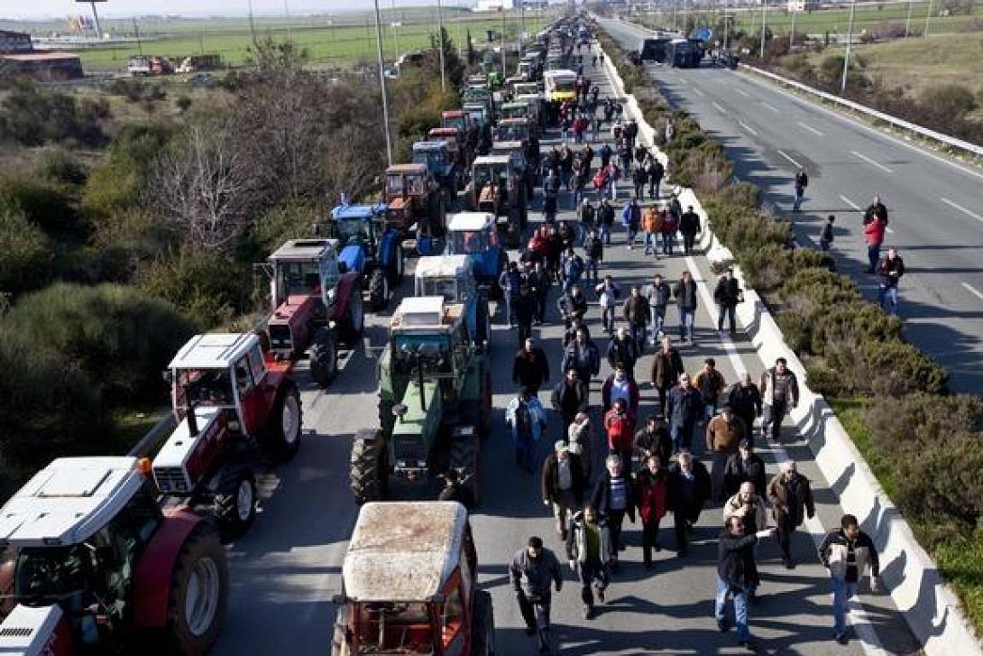 agrotes-nikaia.jpg