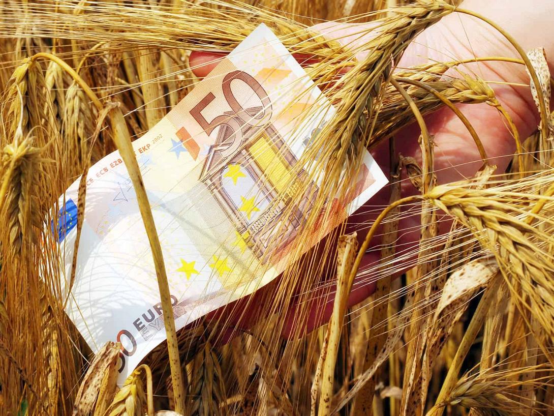 agrotes-opekepe.jpg