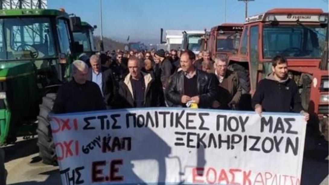 agrotes.jpg