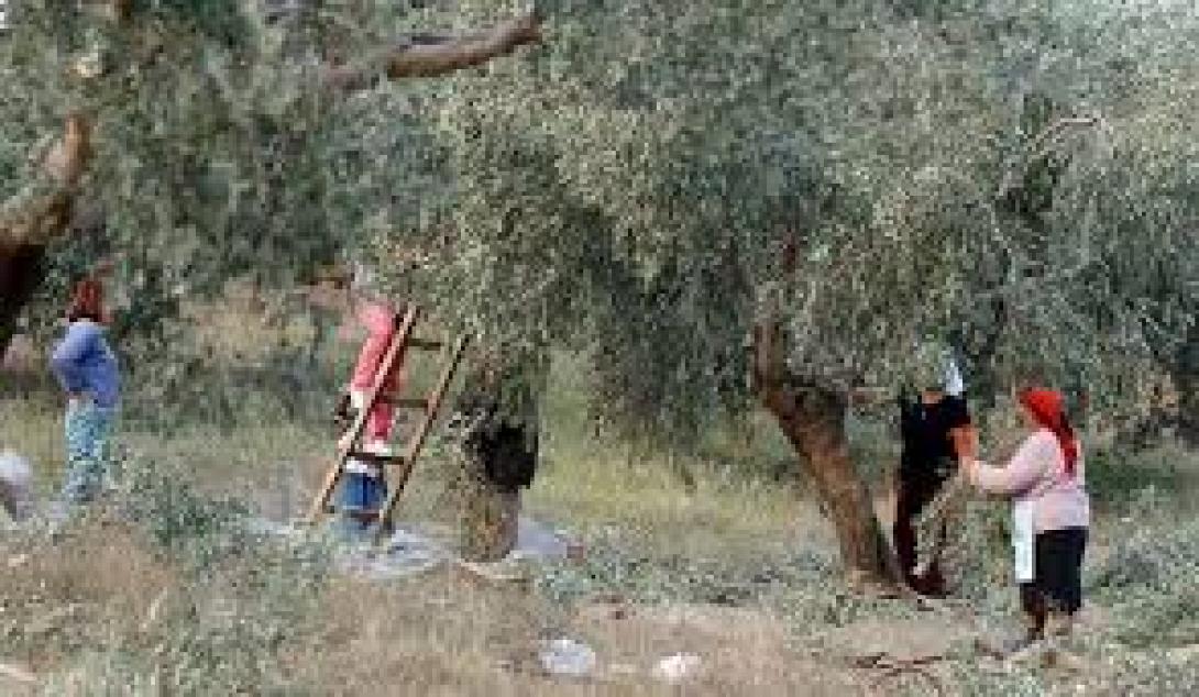 Παράσταση διαμαρτυρίας στη ΔΟΥ Ηρακλείου από τους αγροτικούς συλλόγους Αρχανών και Αστερουσίων