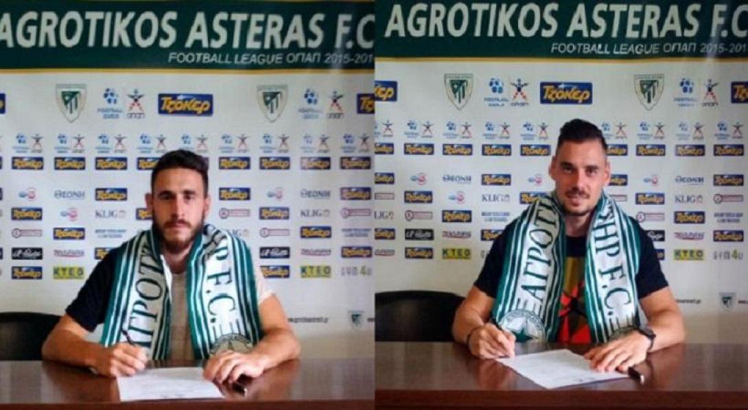 agrotikos_asteras.jpg