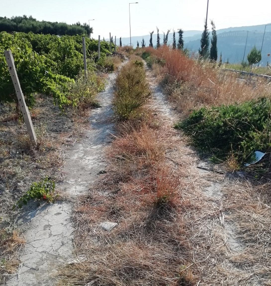 agrotikosdromos.jpg
