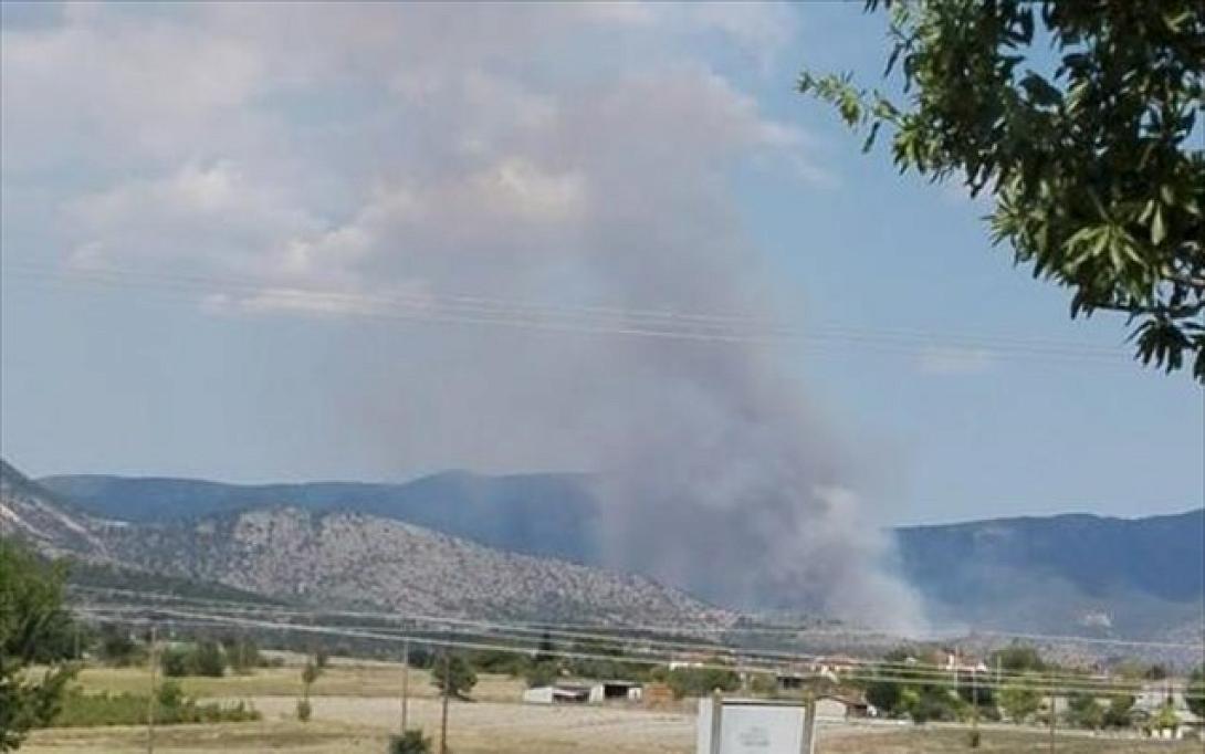 agrotodasiki-purkagia-sta-leukara-kozanis.jpg