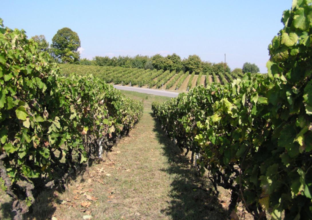 αγροτουρισμος