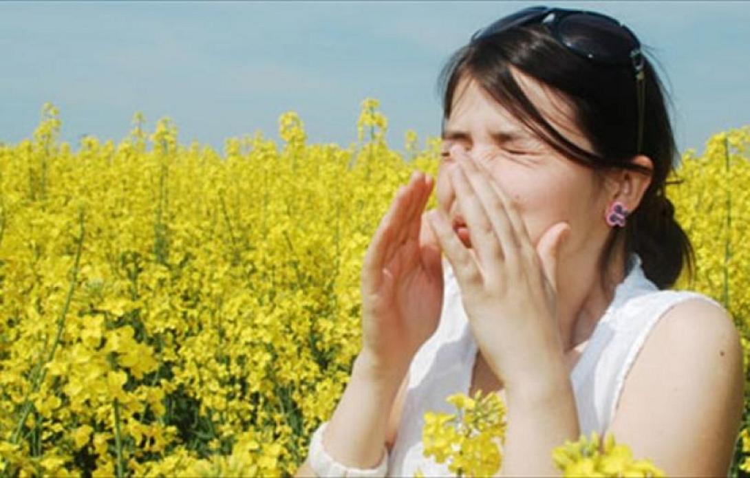 allergies_0.jpg