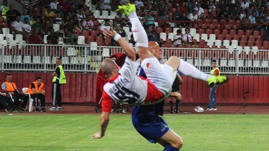 anapodo_psalidi.jpg