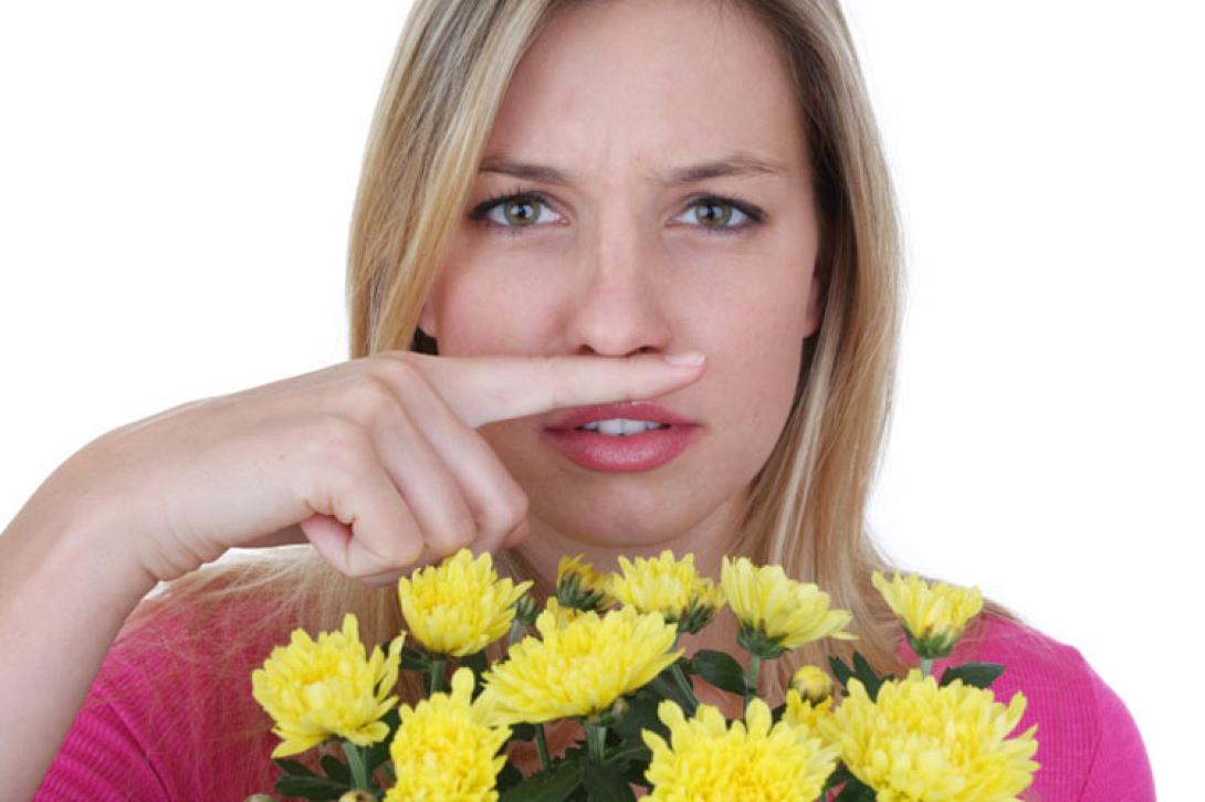 anoixh_allergies.jpg