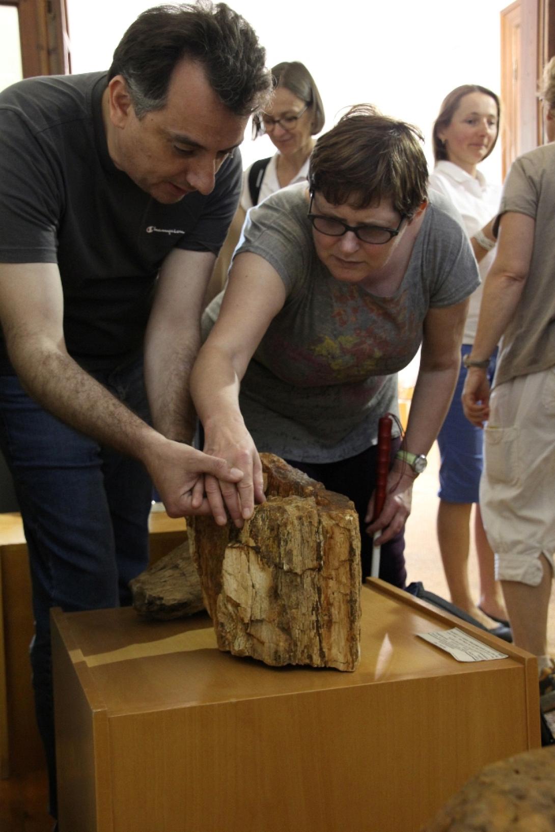 Μυτιλήνη: Γερμανοί με προβλήματα όρασης γνωρίζουν τα α​πολιθωμένα φυτά