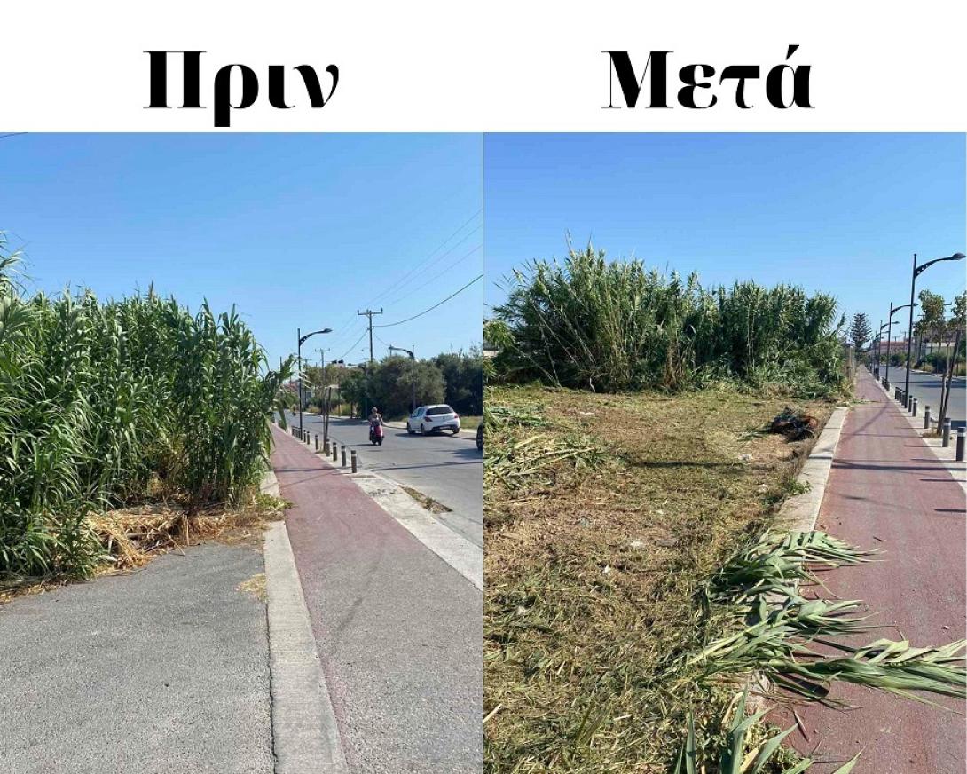 Αποψίλωση στο Γάζι