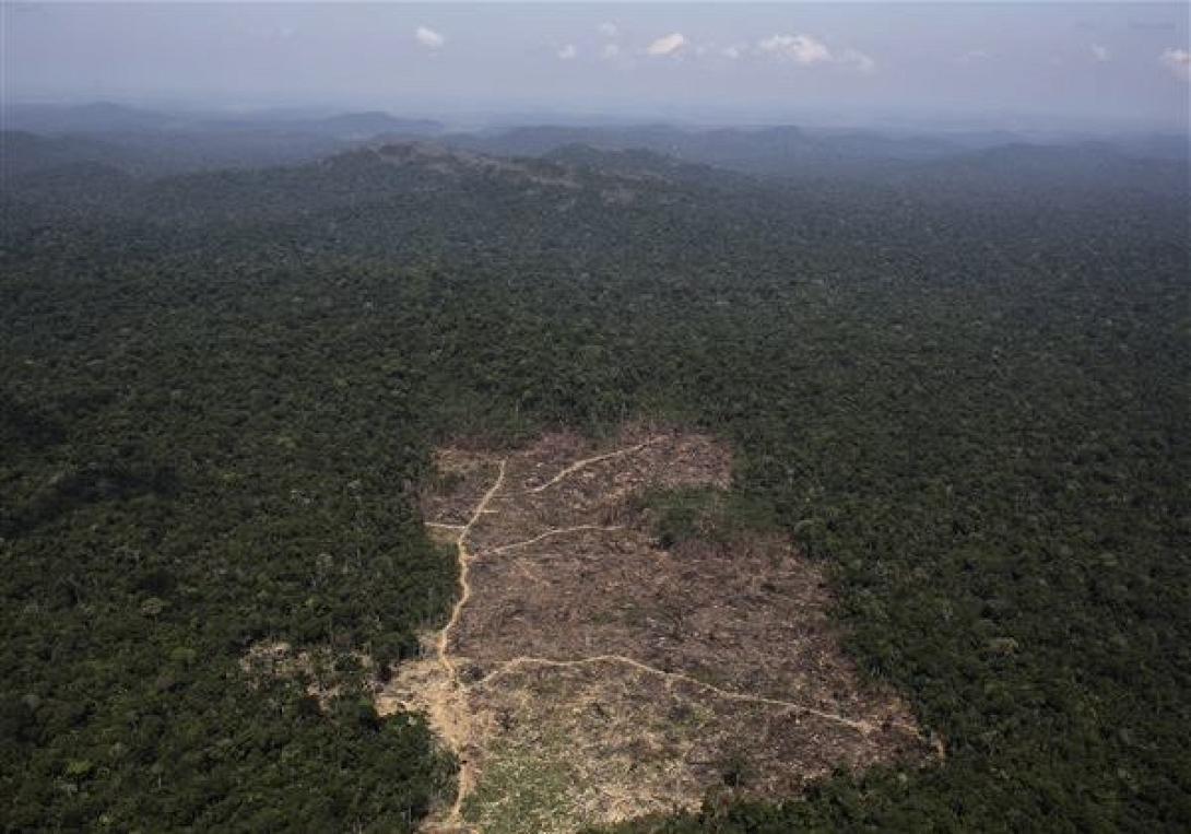 apopsilosi_amazonios2-600-x-422-600x420.jpg