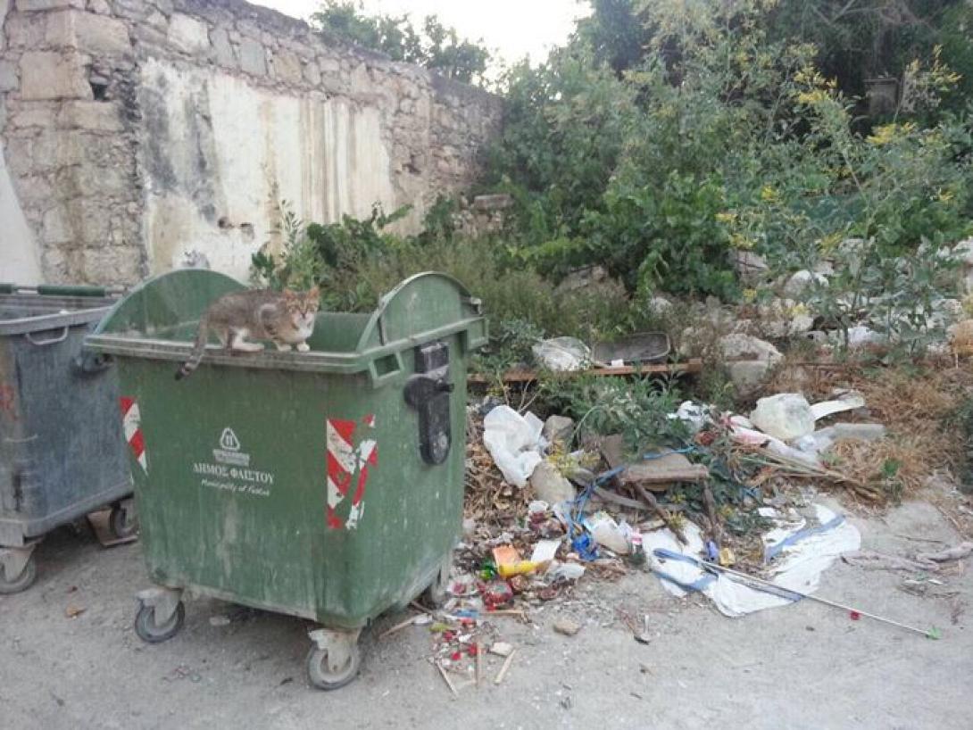 απορρίμματα