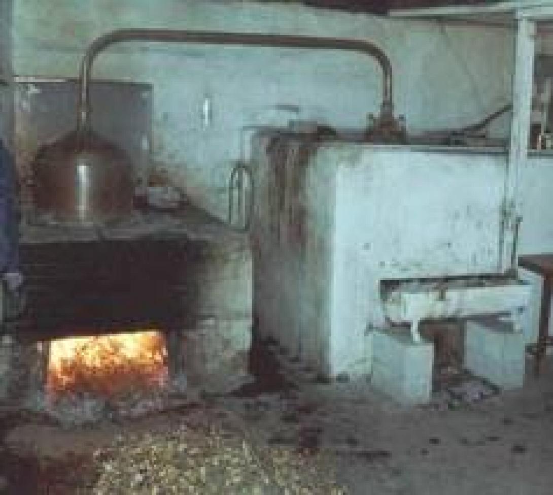 Σε αναπτυξιακά προγράμματα μονάδες παραγωγής τσικουδιάς