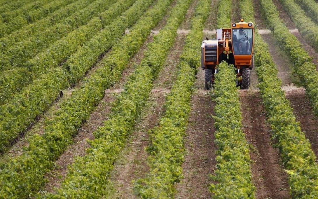 Μέχρις τις 15 Σεπτεμβρίου τα 12,5 εκατ. ευρώ της εξισωτικής αποζημίωσης στους αγρότες