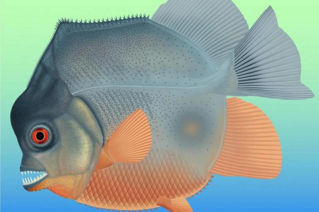 αρχαίο πιράνχα