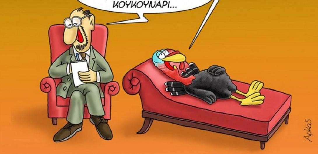 αρκάς γαλοπούλα