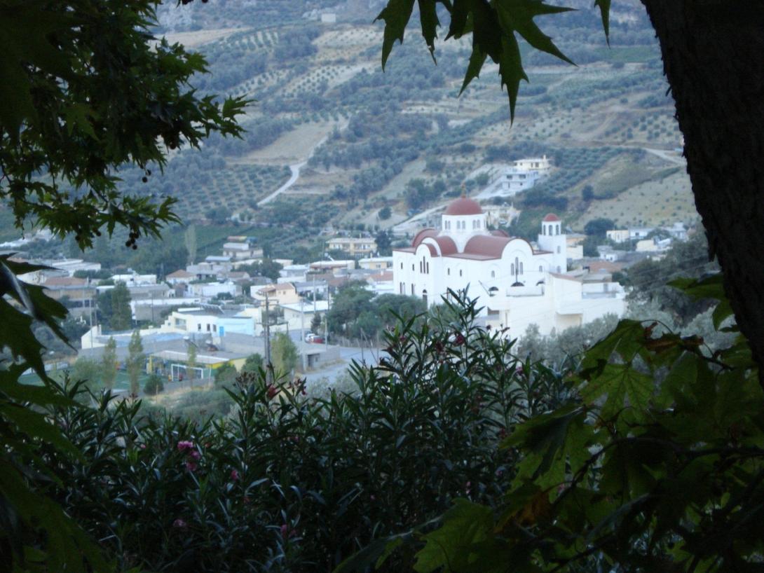 ασσιτες