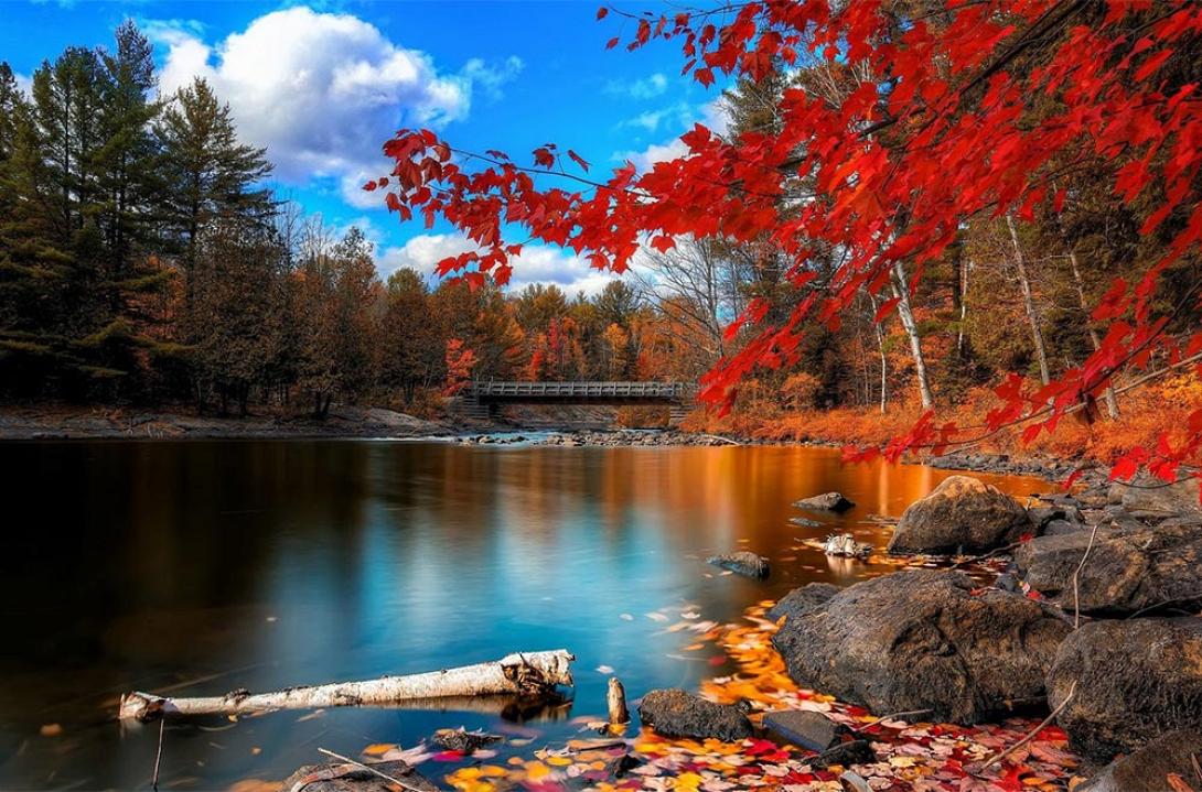 autumn.jpg
