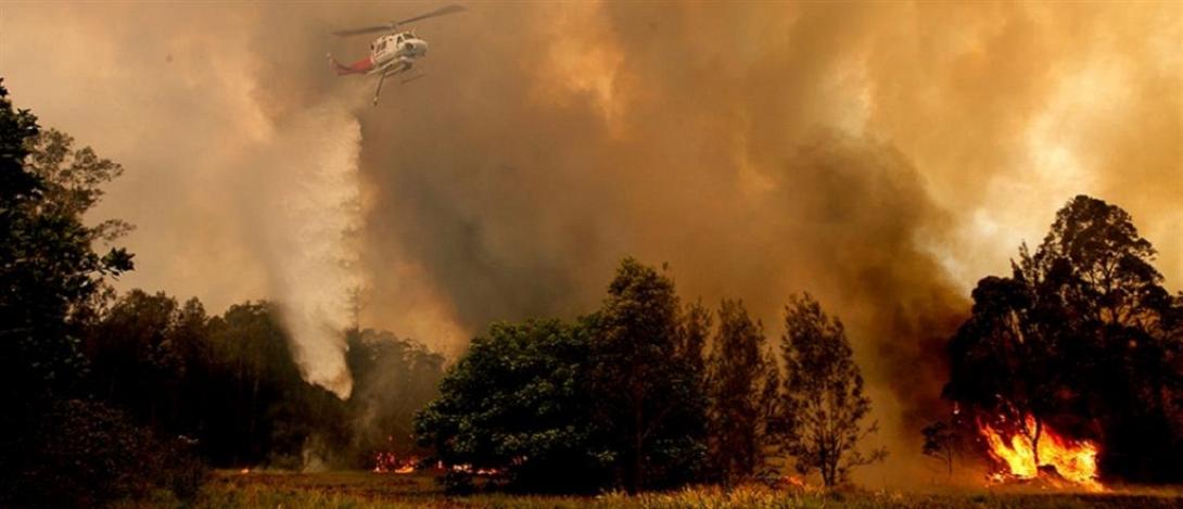 αυστραλία πυρκαγιές