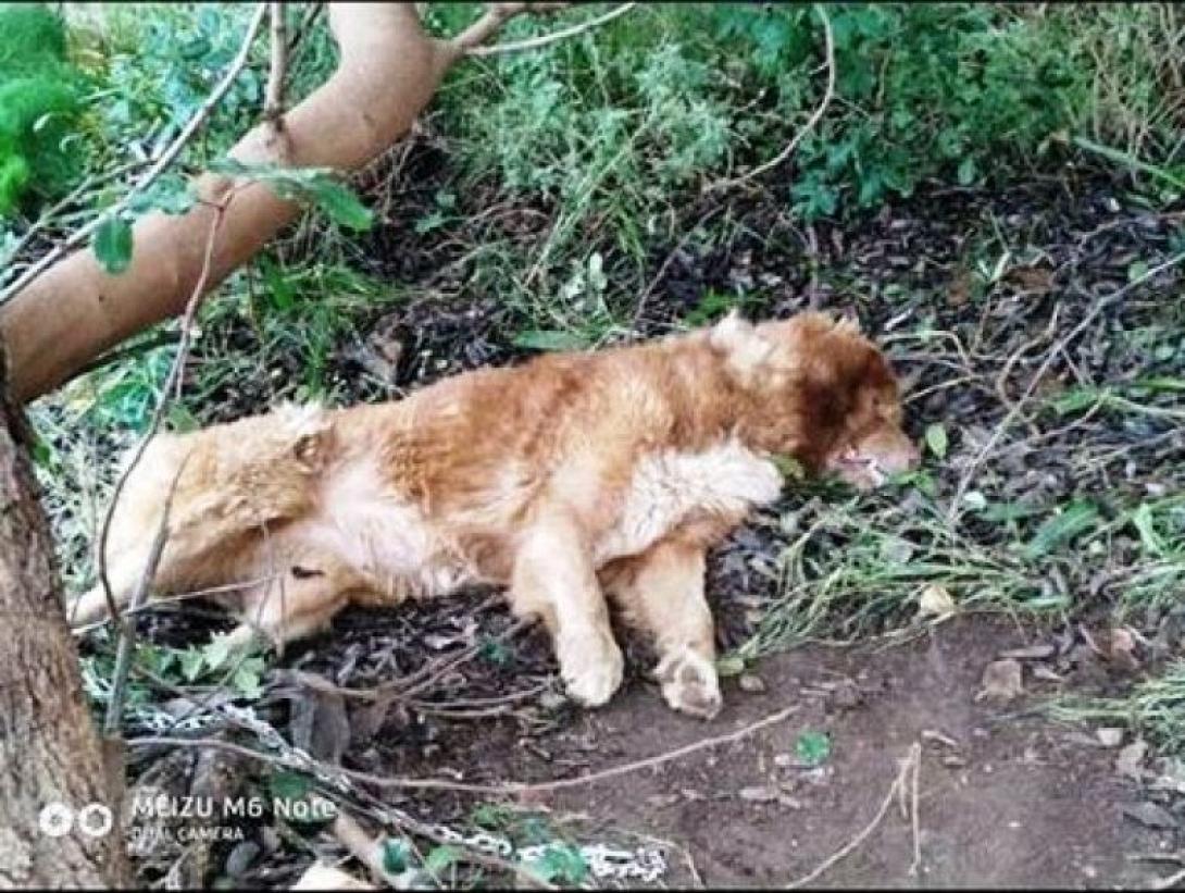 Οργή για την αποτρόπαια πράξη