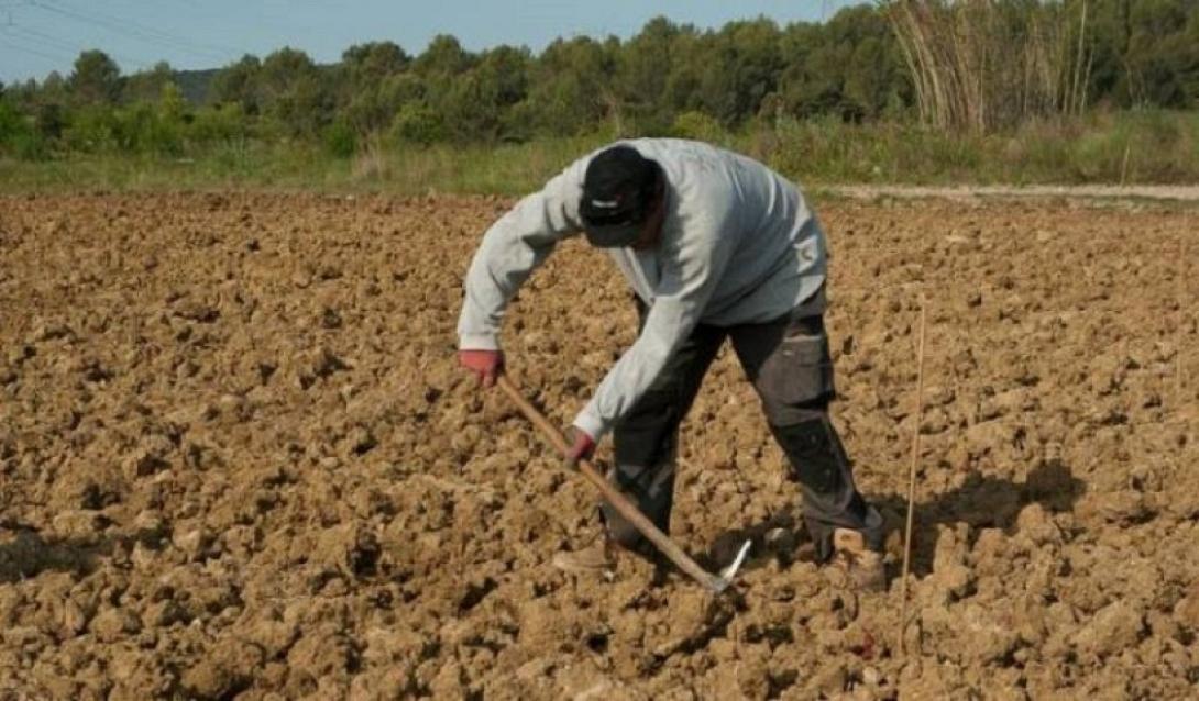 αγροτικός σύλλογος 