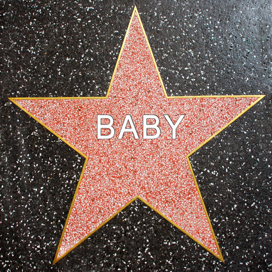 Ο πελαργός επισκέφτηκε το Χόλιγουντ - Τα μωρά του 2014