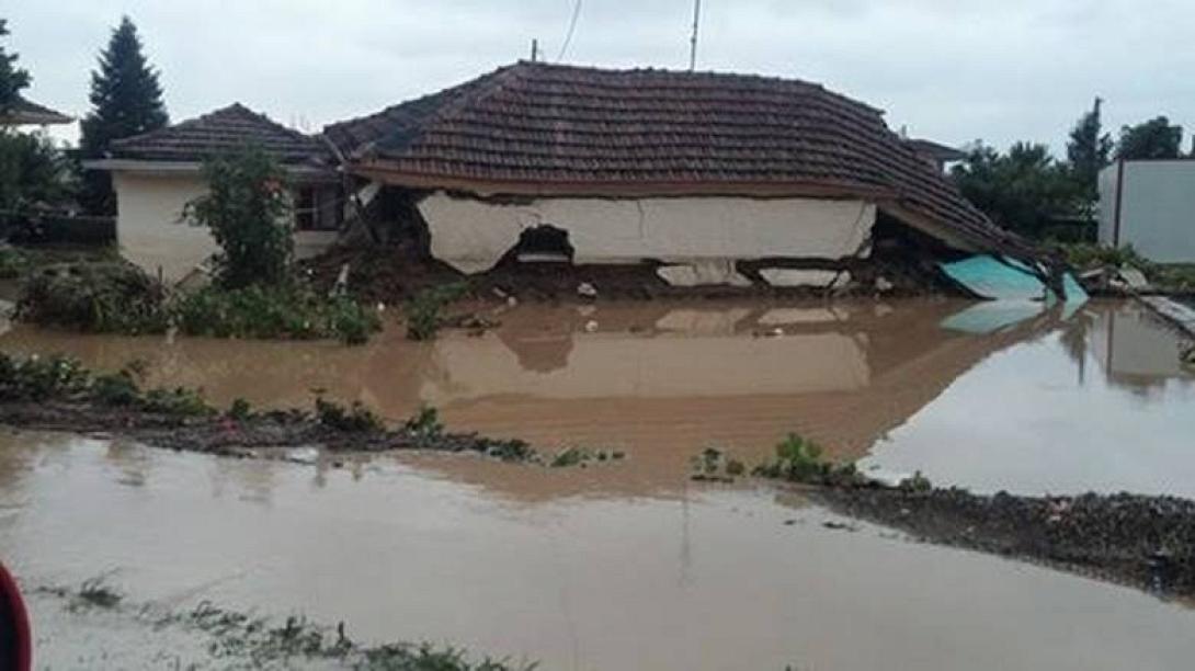 balomantdri-1.jpg