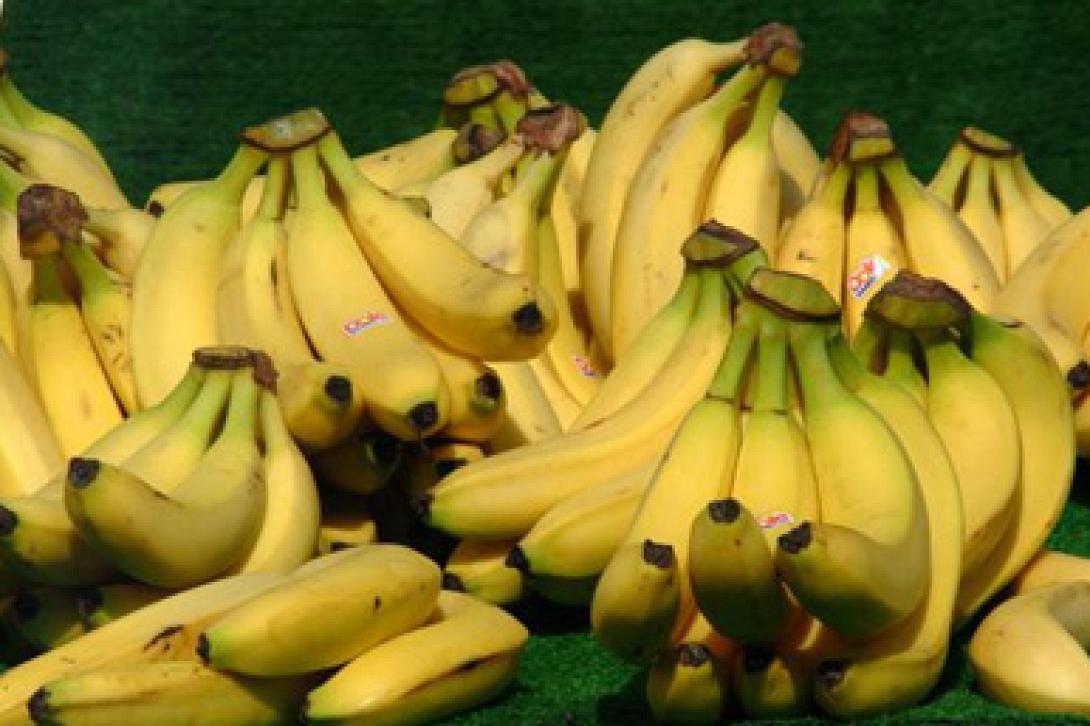 Πειραιάς: Θα καταστραφούν 87 τόνοι μπανάνας
